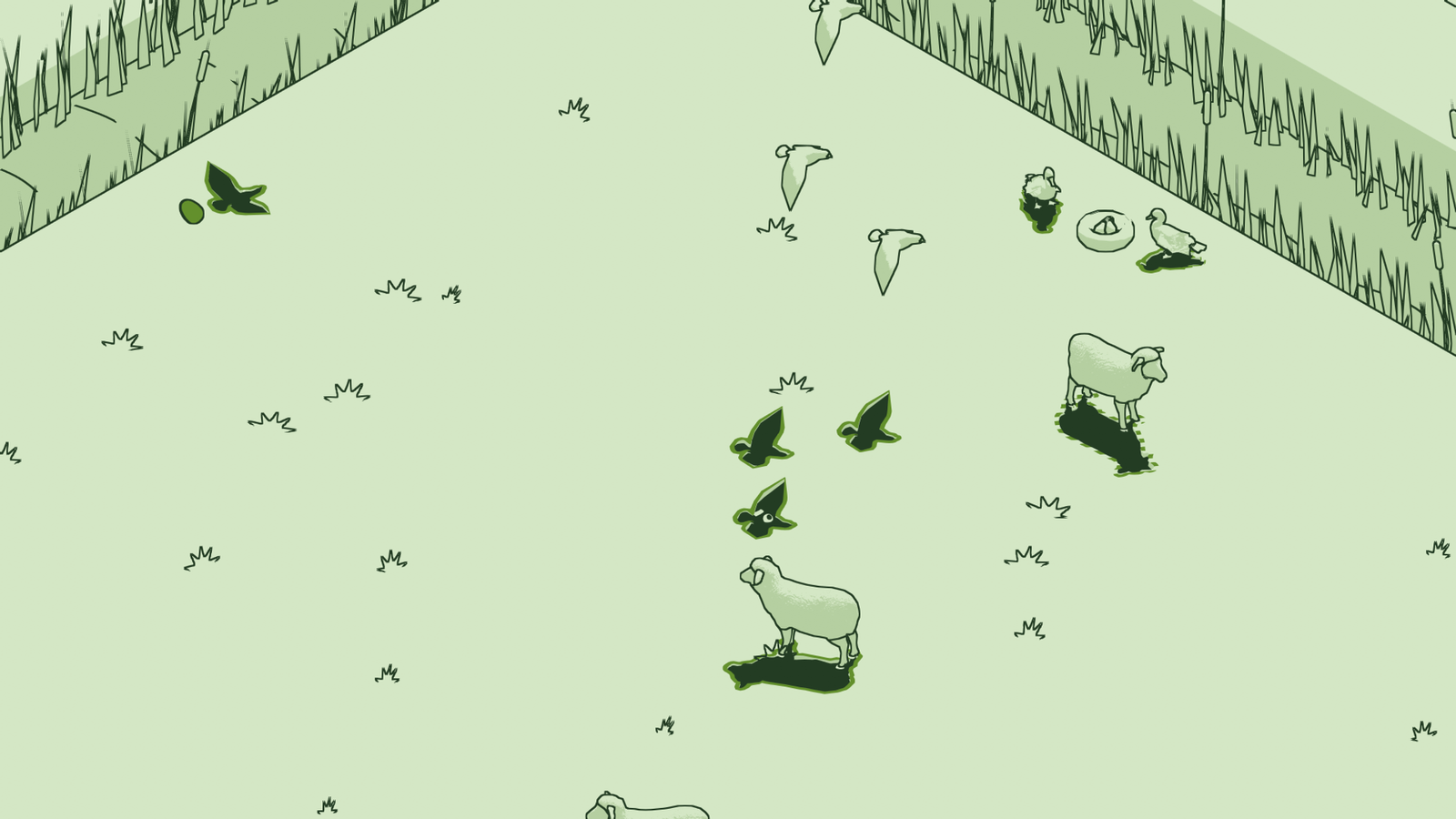 schim animals