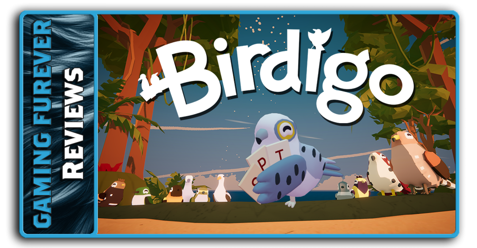 Birdigo Review