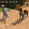 DogsLife4